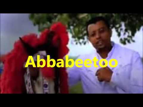 Taddalaa Gammachuu Abbabeetoo