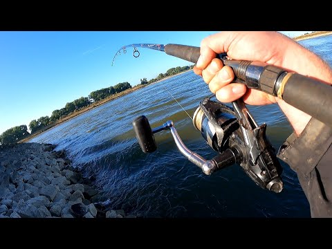 Meervallen vanaf de kant (#10): Eindelijk de eerste van 2022!?