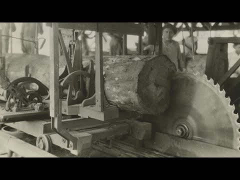image-When was the circular saw invented?