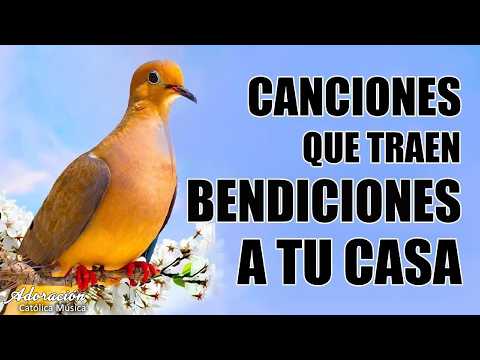 Musica Catolica De Alabanza Y Adoracion 2026 | Canciones Catolicas de Alabanzas Y Adoracion