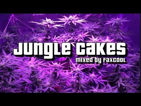 DRUM AND BASS REGGAE MIX (VOL22) by faXcooL (REUPLOAD)