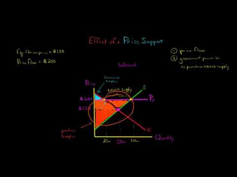 The Effect of a Price Support