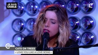 Cats on trees &quot;Love you like a love song&quot; - C à vous - 08/01/2015