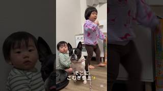 なかなか3名は揃いません…📸 【こむこまつり】 #shorts