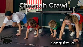 Cheetah Crawl for Kids | Fun PE Exercise to Build Speed & Coordination