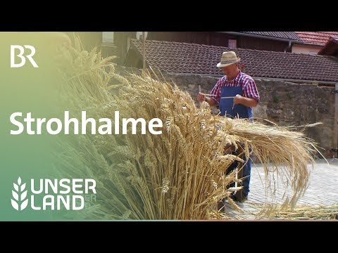 download lagu mp3 mp4 Trinkhalme, download lagu Trinkhalme gratis, unduh video klip Trinkhalme