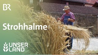 Strohhalme: Trinkhalme aus Roggenstroh | Unser Land | BR Fernsehen