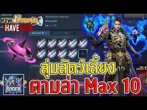 Cabal Infinite Combo : สุ่มสัตว์เลี้ยง : ตามล่า Max rate 10