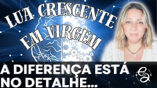 Waxing Moon in Virgo | THE CHALLENGE IS TO BE DETAIL-ORIENTED | ADJUST to PROSPER | 03 to 11 Jun/25