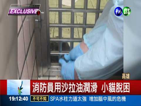 貓咪貪玩卡門縫 沙拉油來解圍