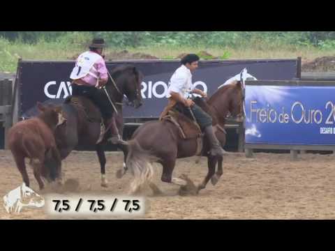 Viragro Corte de Limia   5º Lugar Machos no Bocal de Ouro