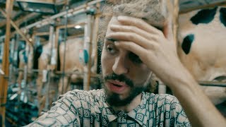 Vegan Visits Dairy Farm