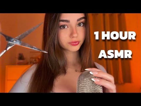 All of my Subscribers FAVORITE Triggers (100k Special)