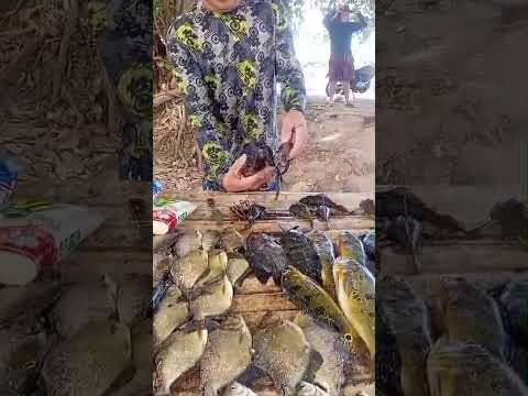 a pesca deu boa hoje rio choro Ce