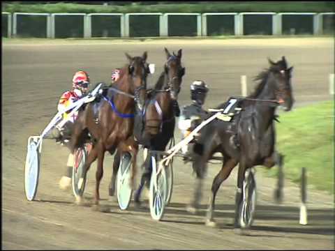 Trotto 25/10/2015 - 8° corsa