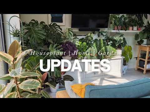 Sunny Morning Houseplant Walk Through | Home & Garden Updates | Plant Styling Tips☀️🏡