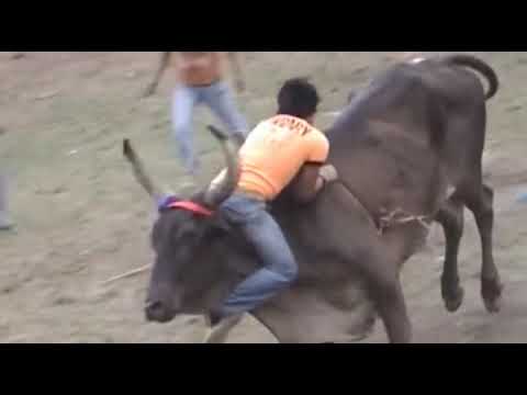 Swing Latino 2014   Polka mix 01