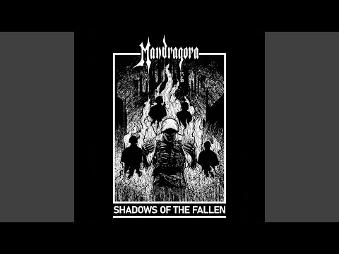 Shadows of the fallen