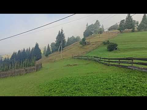 Echoes of Gorgan (private mini-inn), Synevyrskaya Polyana, Ukraine