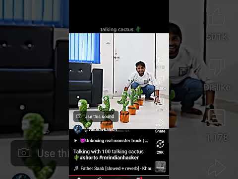 talking with 100 talking cactus