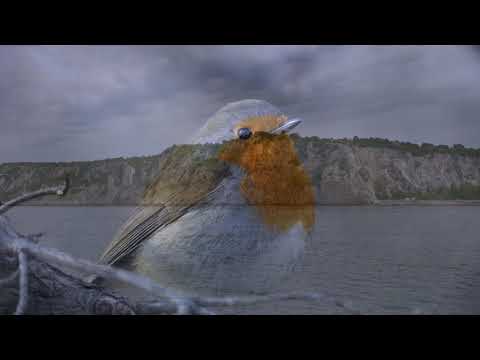 13 Riserva Naturale delle Falesie di Duino