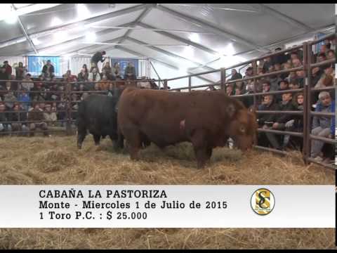 01-07-15 Ventas de Toros P.C. - Cabaña La Pastoriza - San Miguel del Monte.