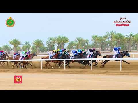 الشوط الثامن - السباق الثامن عشر- الرحبة 23/03/2019 Race 8-18th meeting