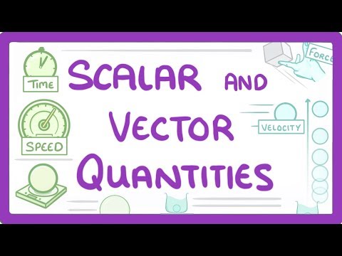 GCSE Physics - Scalar and Vector Quantities  #41