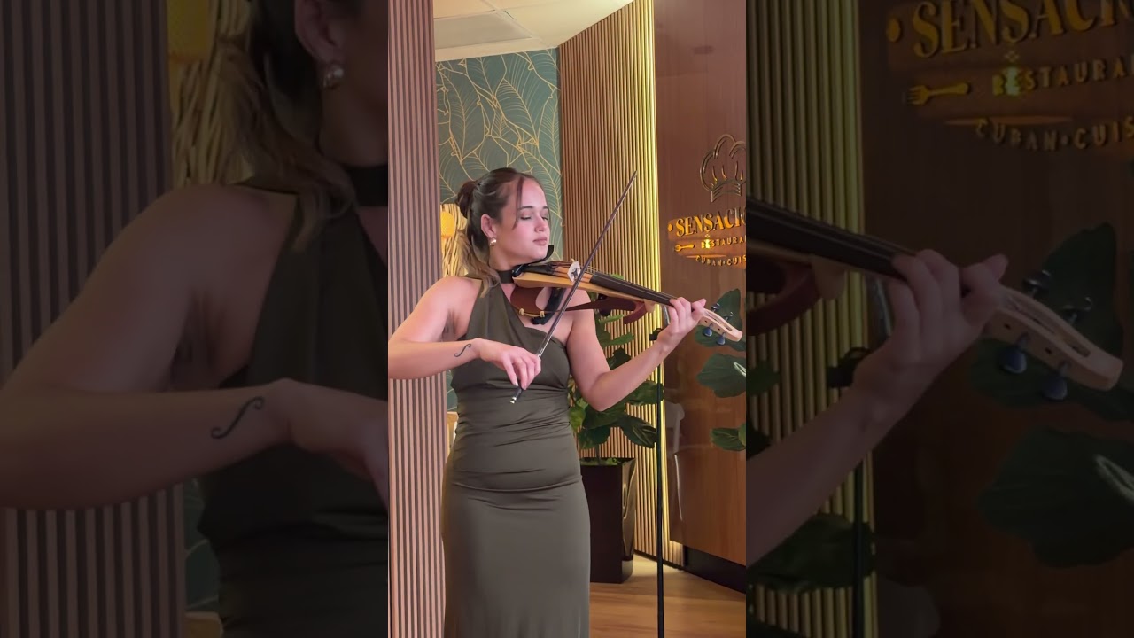Promotional video thumbnail 7 for Soul Violin