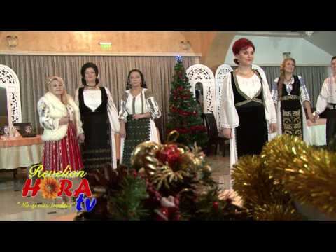 DANIELA TARNAUCEANU  - CAND VIN SARBATORILE