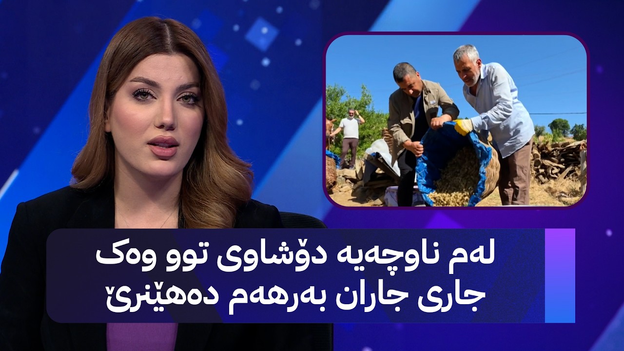 ڤیدیۆ | لەم ناوچەیە دۆشاوی توو وەک جاری جاران بەرهەم دەهێنرێ