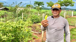A SECA DO NORDESTE O TROUXE PRA MINAS COM UM SONHO