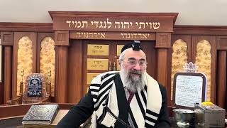 למה בפורים מתגלים אורות גדולים ואיך זה קשור למאה עשרים ושבע מדינות (הרב יצחק ישראלי) - התמונה מוצגת ישירות מתוך אתר האינטרנט יוטיוב. זכויות היוצרים בתמונה שייכות ליוצרה. קישור קרדיט למקור התוכן נמצא בתוך דף הסרטון