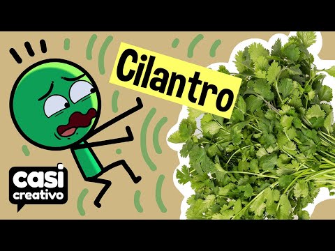 Si no te gusta el cilantro... | Casi Creativo