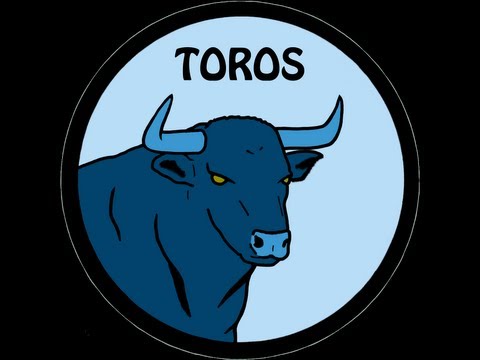 T3 - VH 29 - TOROS - ESENCIA DE FÚTBOL EN FRASCO PEQUEÑO