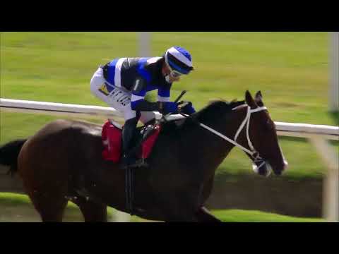 220403 c01 NOCHE DE BANDONEON