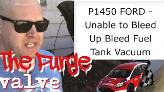 Ford Fiesta 2014 - 2016 Vapor Canister Purge Valve / Solenoid P1450 code