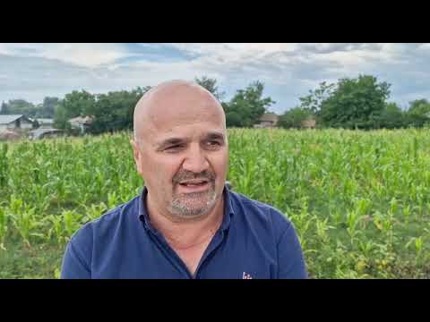 Festivalul florilor la Floresti-Stoenesti