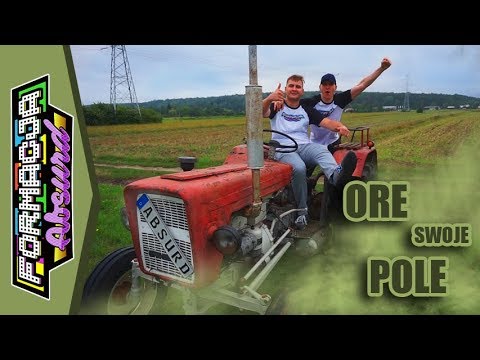 Typowy dzień z życia tubylca z Podlasia 
