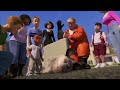 Over The Hedge But Only 5 Seconds A Day Day 421