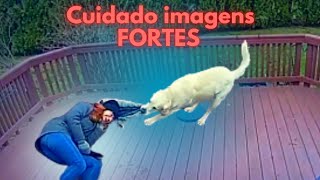 Cuidado senas FORTES  ele  Confundiu O Capuz Do Casaco Com Um Brinquedo KKK [ Coat Hood ]