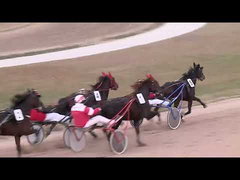 2022.12.31. 04. futam - KINCSEM HUNGARY DÍJ