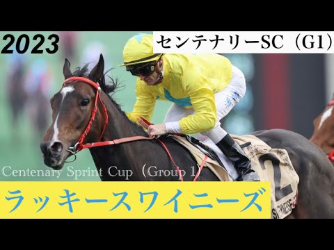 ラッキースワイニーズがリベンジを果たす！悲願のG1初制覇【センテナリースプリントC 2023】/ Lucky Sweynesse【Centenary Sprint Cup 2023】