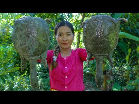 Awesome Cooking Tasty SOFTSHELL TURTLES Soup Recipe