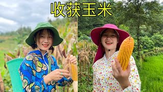 [討論] 沒什麼讀書的鄉下女生 有多少人能接受?