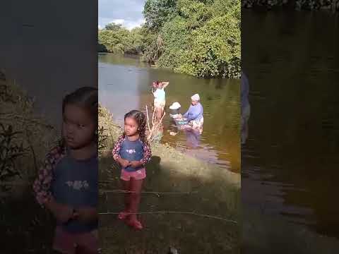 Lotes, Zé Alves jaborandi Bahia