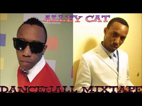 Alley Cat Dancehall Mix Best Of 90s Dancehall