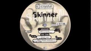 Skinner - My Second Voice (1996)