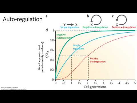 MCB 182 Lecture 11.7 - Network structural motifs and scale-free property