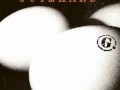 Gotthard - Fist In Your Face